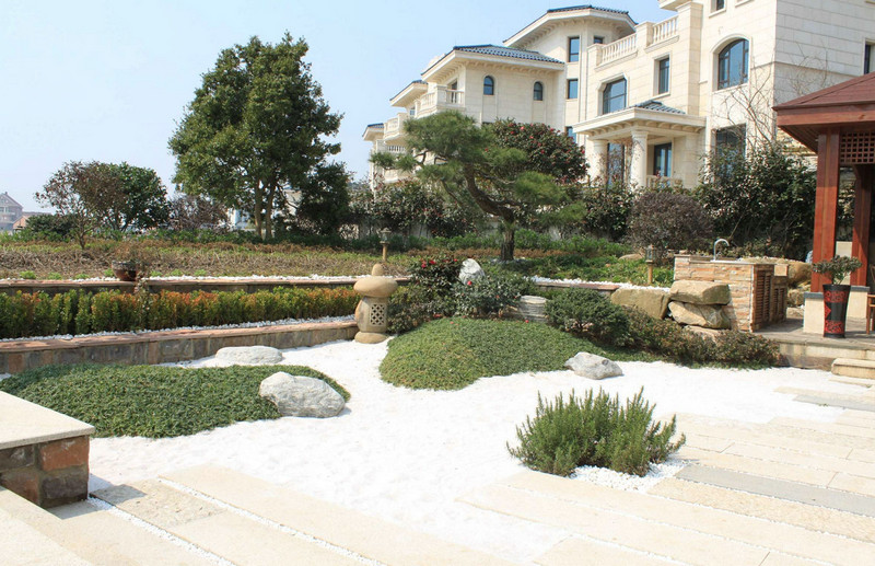 園林養(yǎng)護 (1)