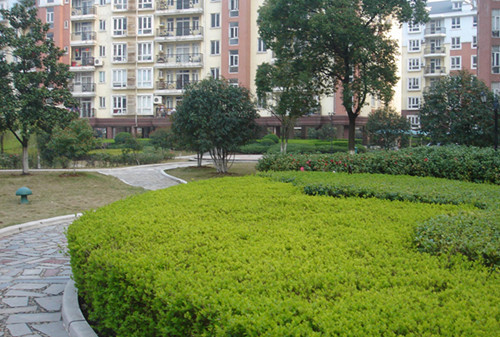 綠化園林養(yǎng)護(hù)的工作內(nèi)容有哪些？