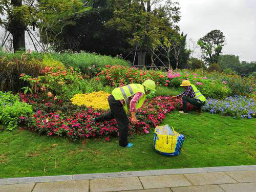 在園林綠化養(yǎng)護(hù)過程中哪些地方容易被忽略？