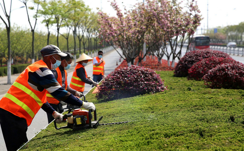 提高園林綠化養(yǎng)護(hù)管理水平的主要措施？
